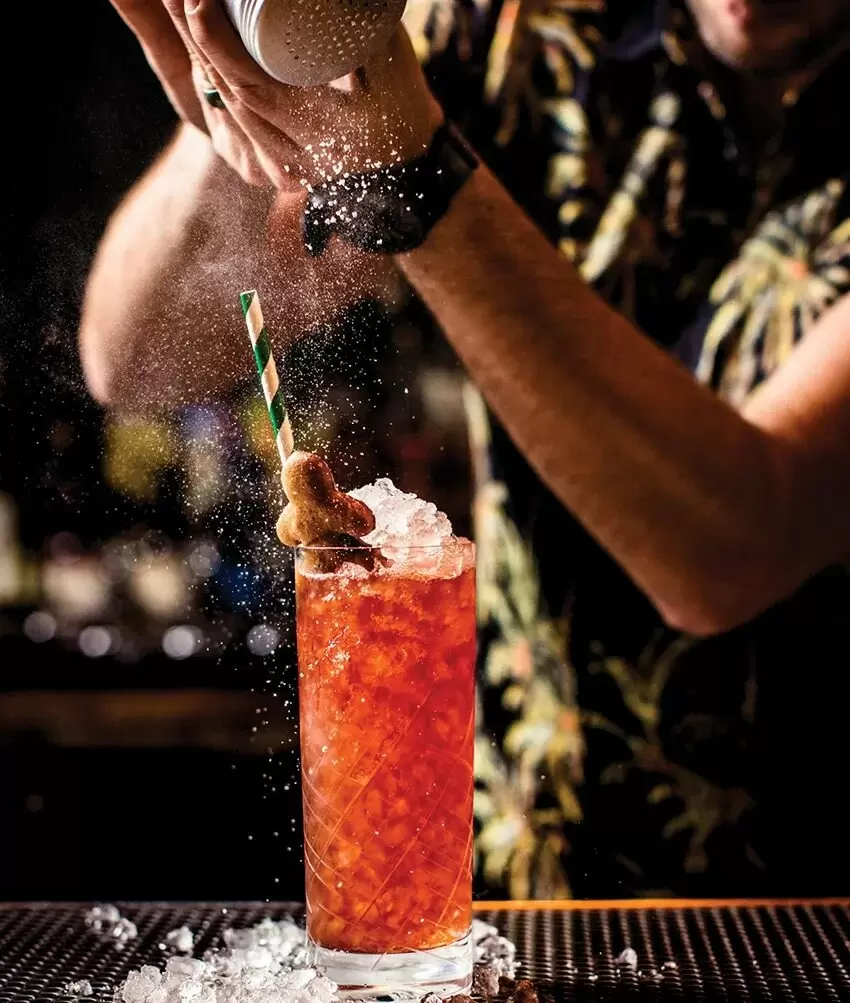 Когда приходит пора выбора: что заказать на баре в клубе?