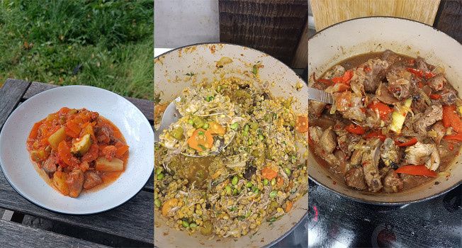 ������ ����: ���������� �����������, ������� �� ����������