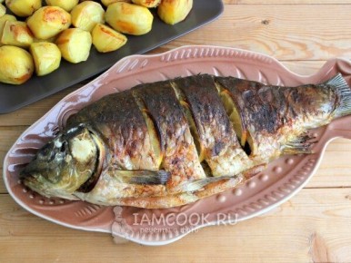 ������� ����: ���������� ������ ����, ������� ������� ��� ����