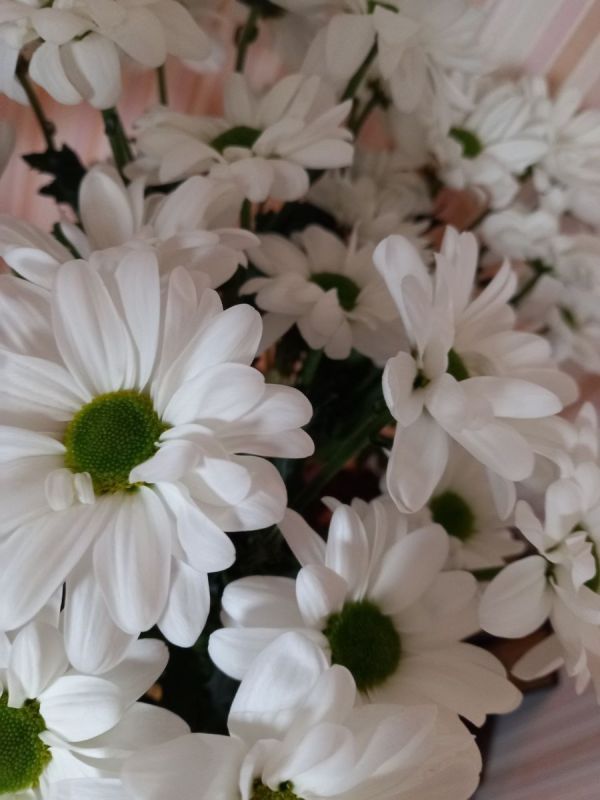 ���� � ��������