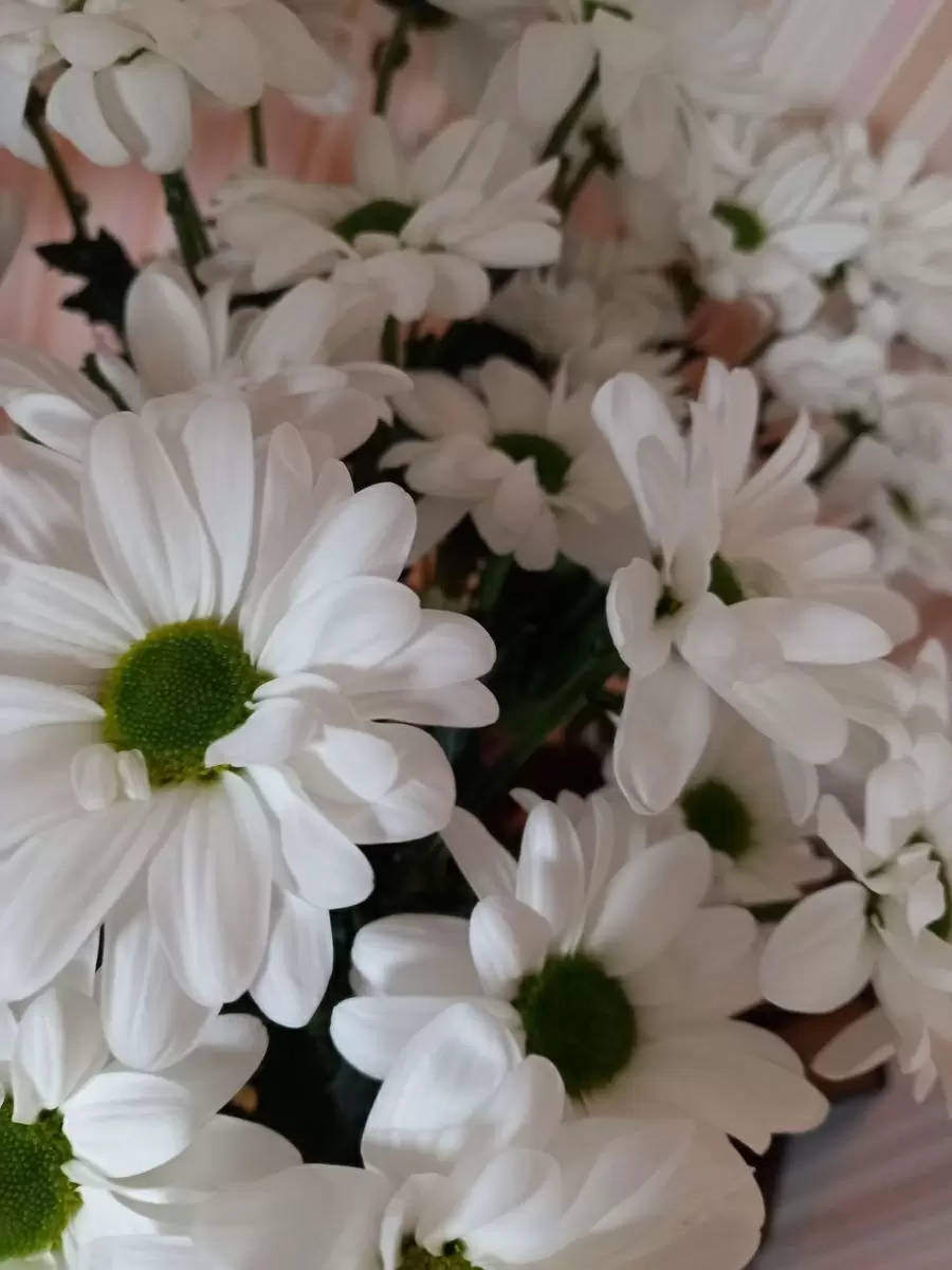 Вкус И Традиции