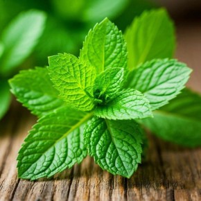 �������� ������� ������: ���������� ������� ��� ������ ���������