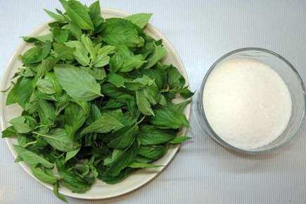 ��� ����� ����������� ��������� ������ �����