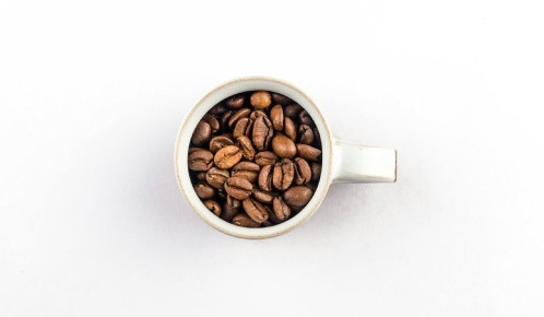 ������ �������� ������� ���� �������� ������ ���������