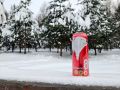 Доступное крепкое пиво: стоит ли попробовать белого медведя за 50 рублей?