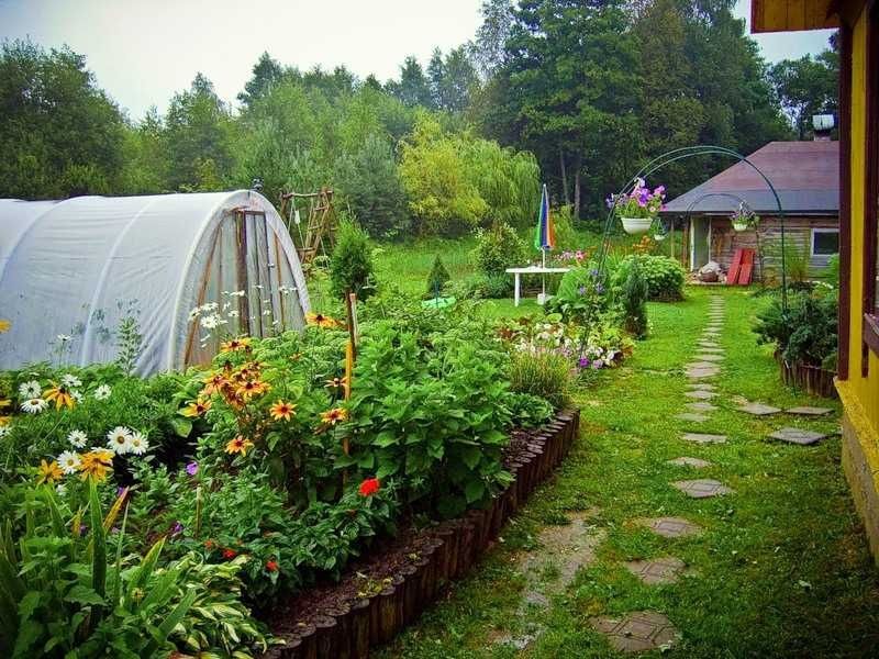 Летние изменения для дачников: новшества, проверки и штрафы