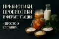 Разновидности полезных микроорганизмов и их влияние на здоровье кишечника
